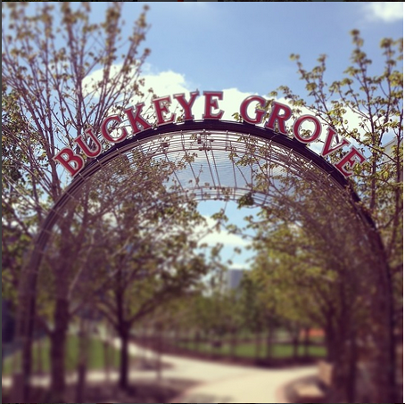 Buckeye Grove near Lincoln and Morrill Towers on the Ohio State campus